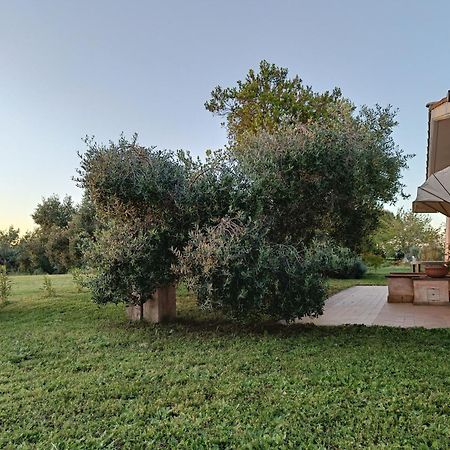 Agriturismo Fontelupo Bracciano  Zewnętrze zdjęcie