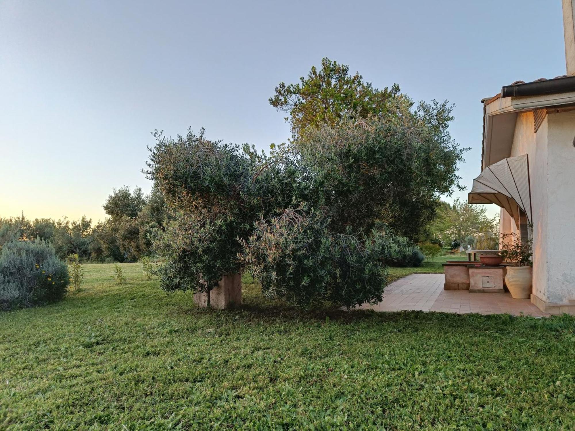 Agriturismo Fontelupo Bracciano  Zewnętrze zdjęcie