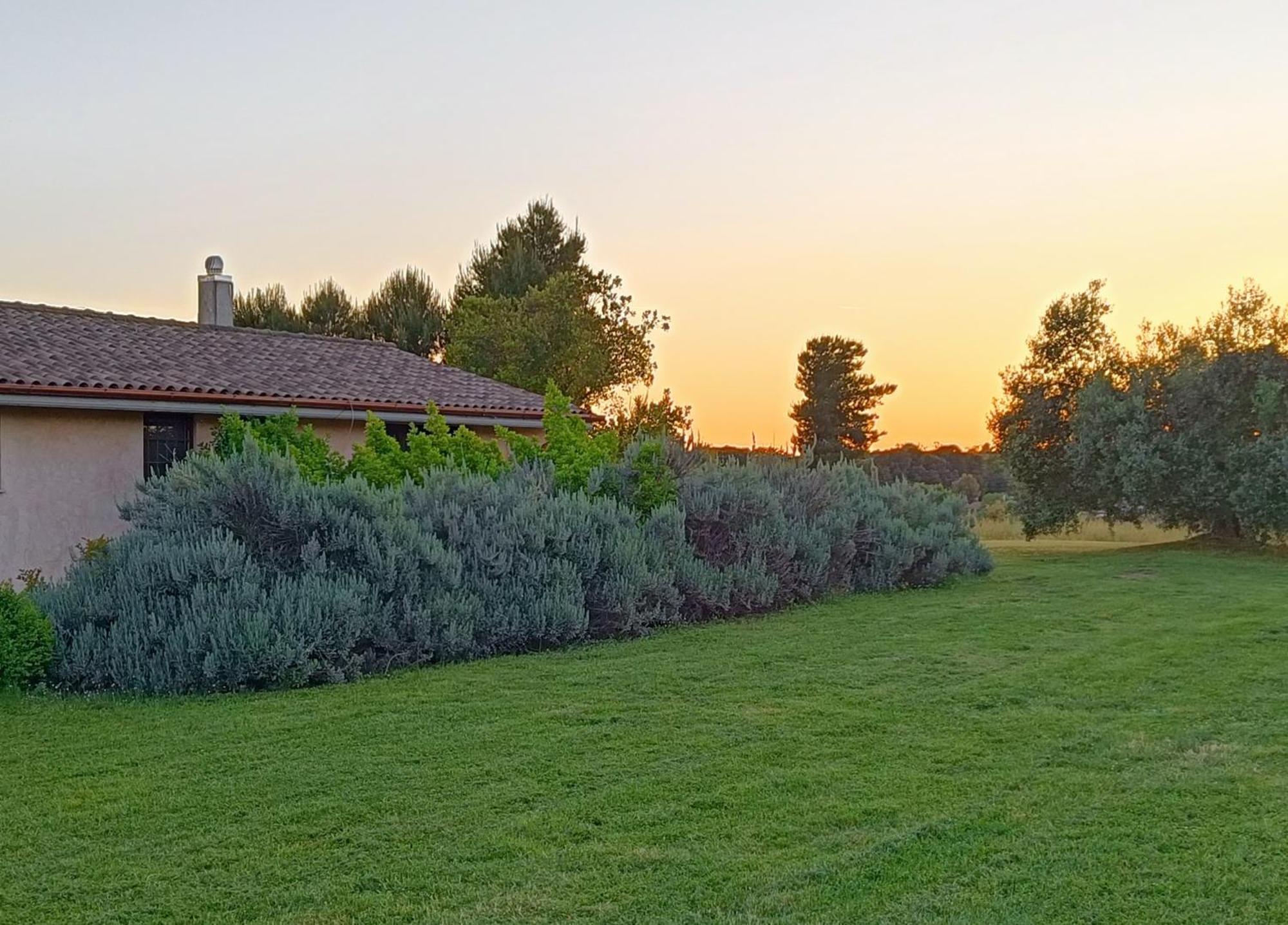 Agriturismo Fontelupo Bracciano  Zewnętrze zdjęcie