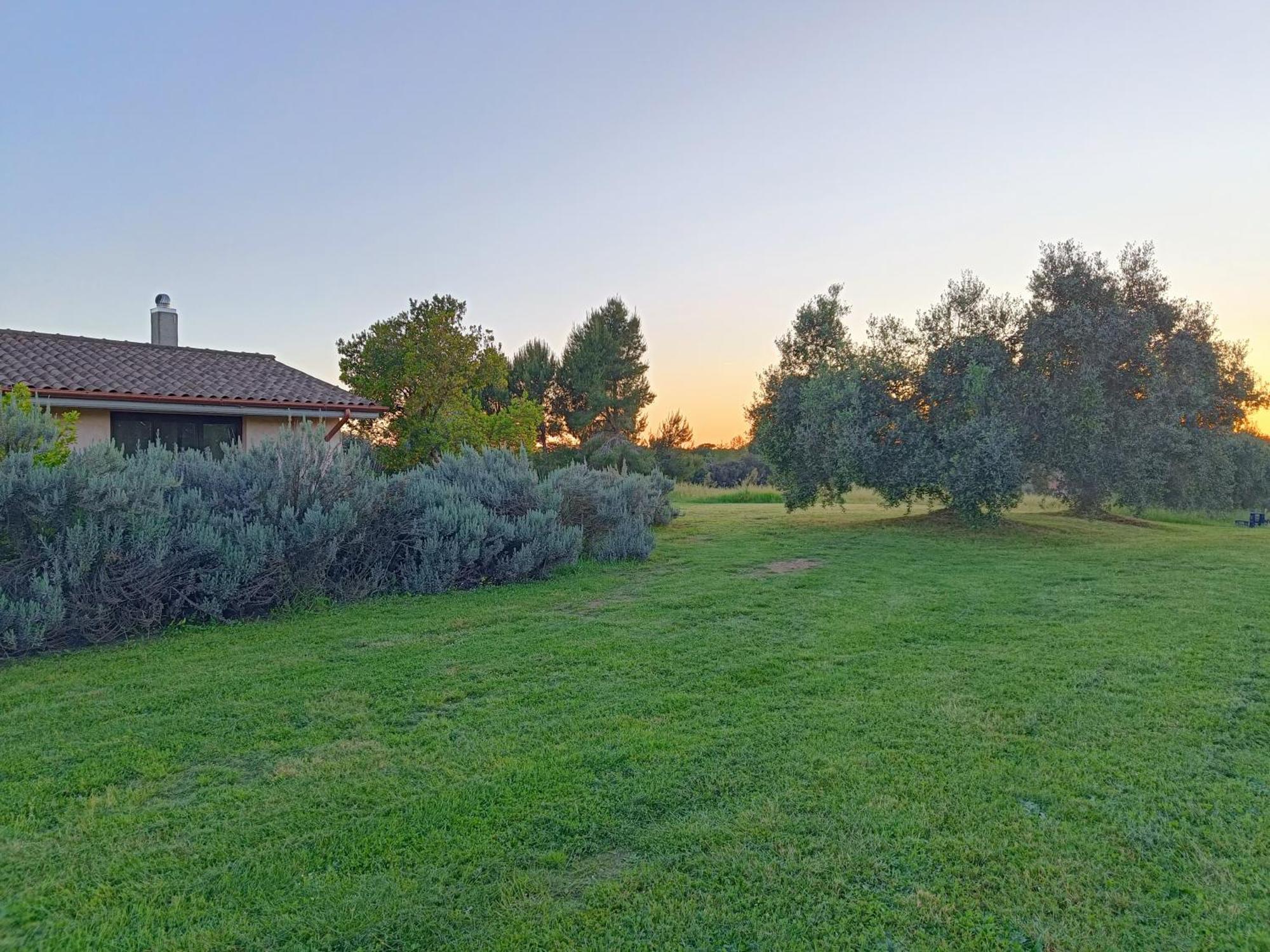 Agriturismo Fontelupo Bracciano  Zewnętrze zdjęcie