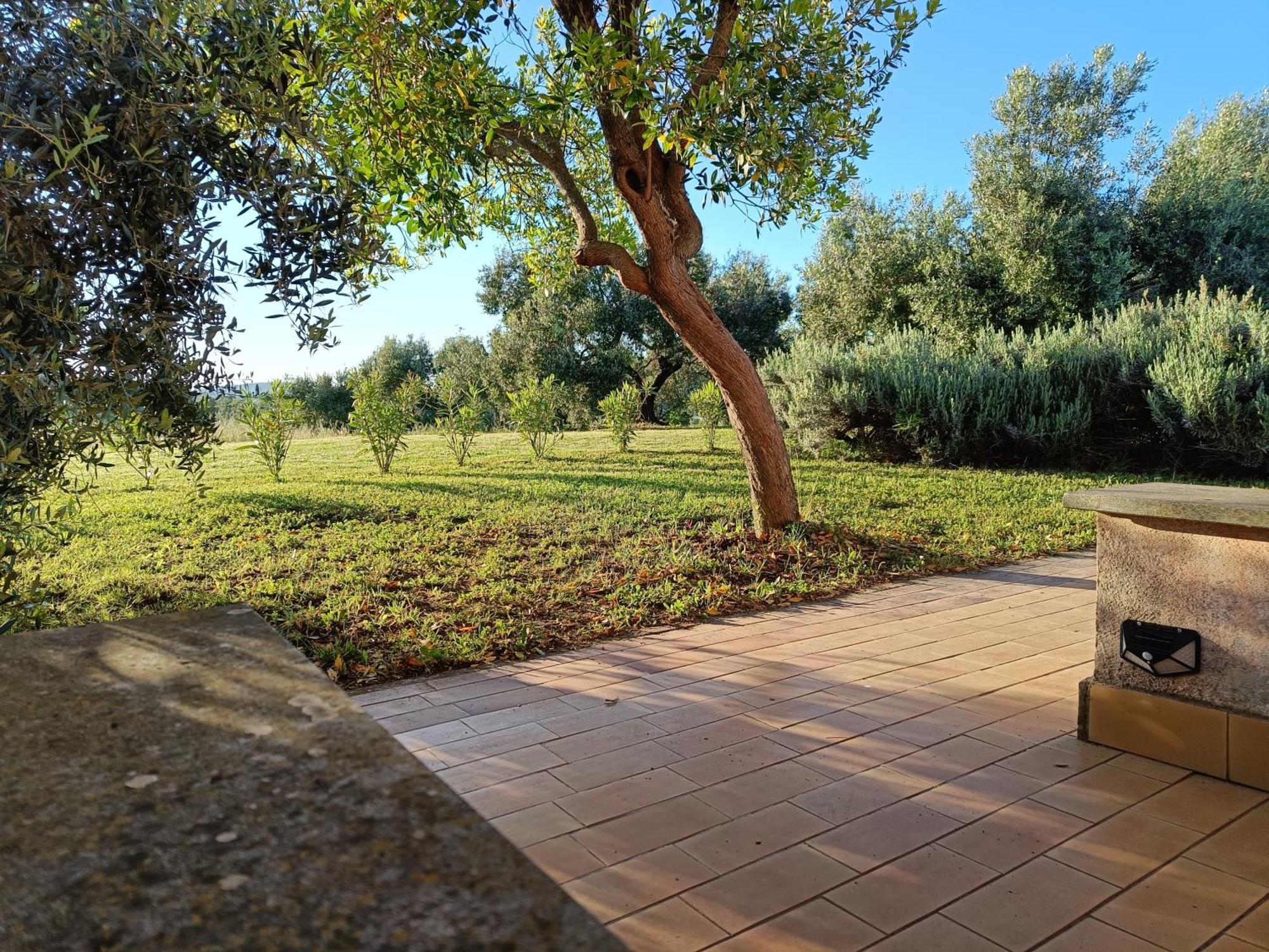 Agriturismo Fontelupo Bracciano  Zewnętrze zdjęcie