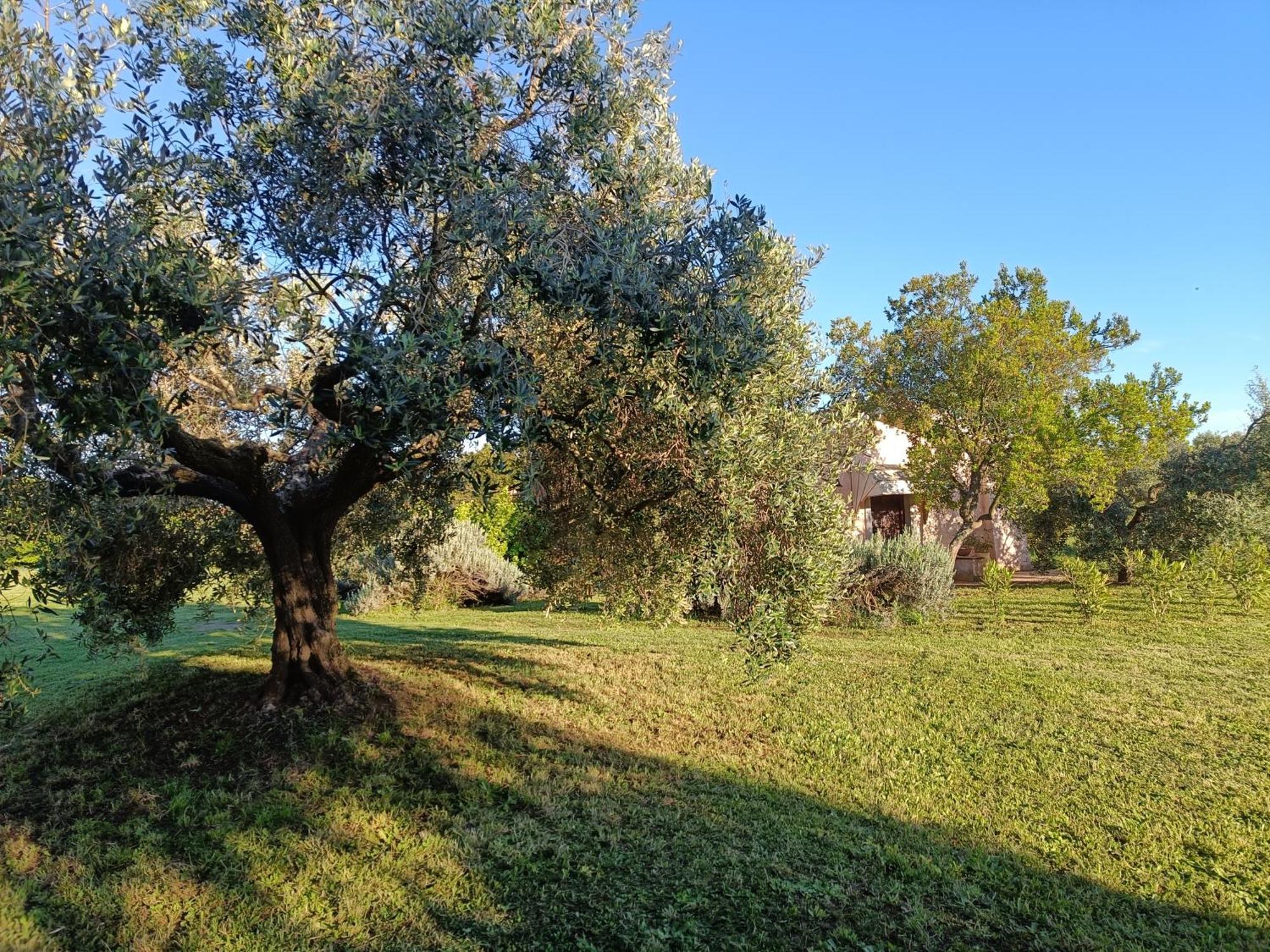Agriturismo Fontelupo Bracciano  Zewnętrze zdjęcie