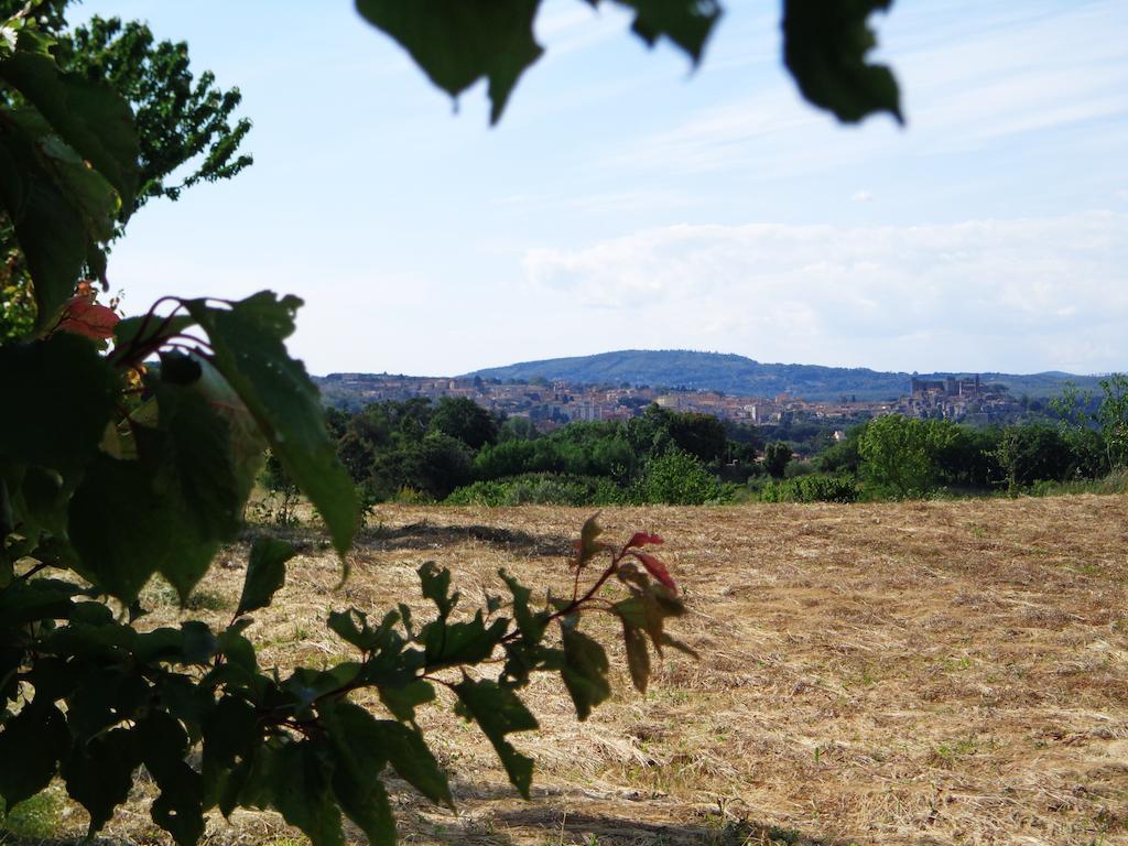 Agriturismo Fontelupo Bracciano  Zewnętrze zdjęcie